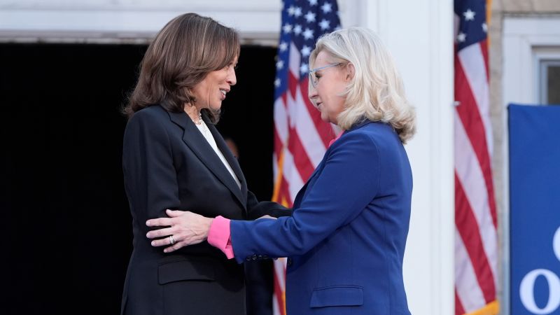 Liz Cheney invokes January 6 as she touts endorsement of Harris in Wisconsin