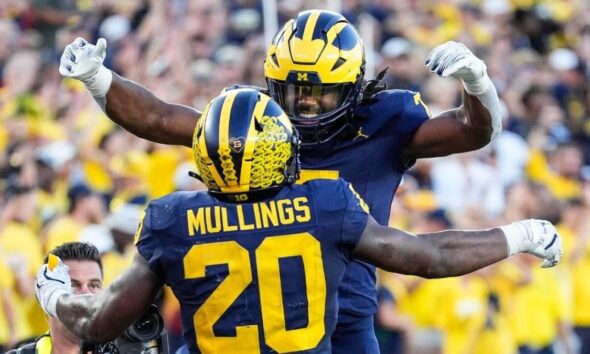 Michigan vs. Illinois live stream, where to watch, TV channel, prediction, pick, spread, football game odds