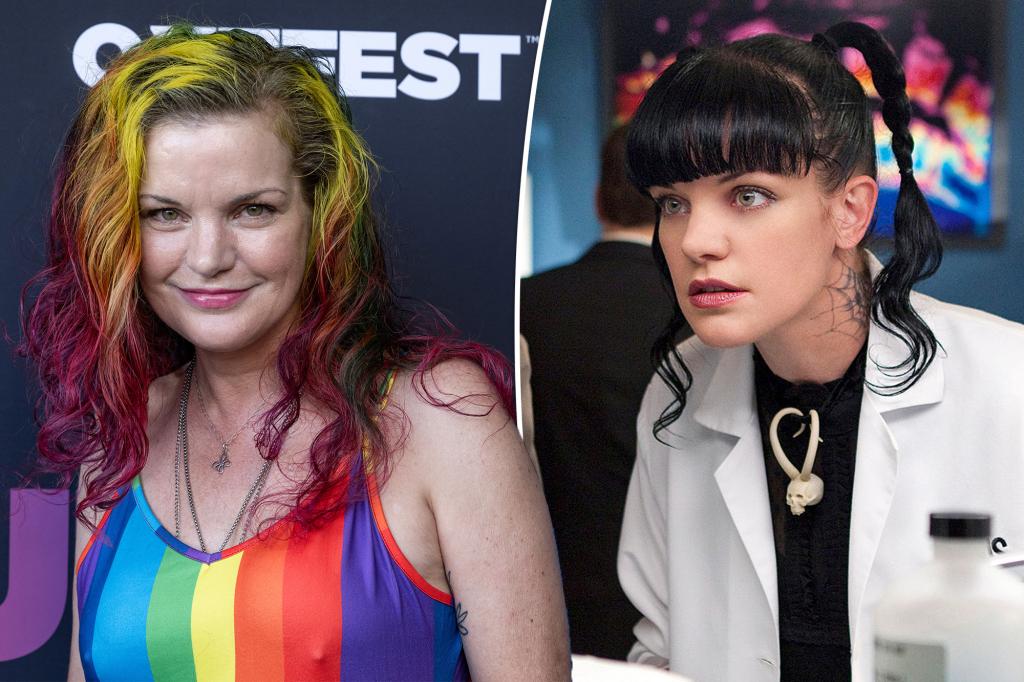 'NCIS' alum Pauley Perrette will 'never' return to acting