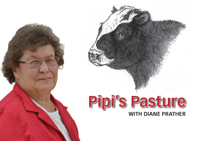 Pipi’s Pasture: Halloween with Jody and Jamie