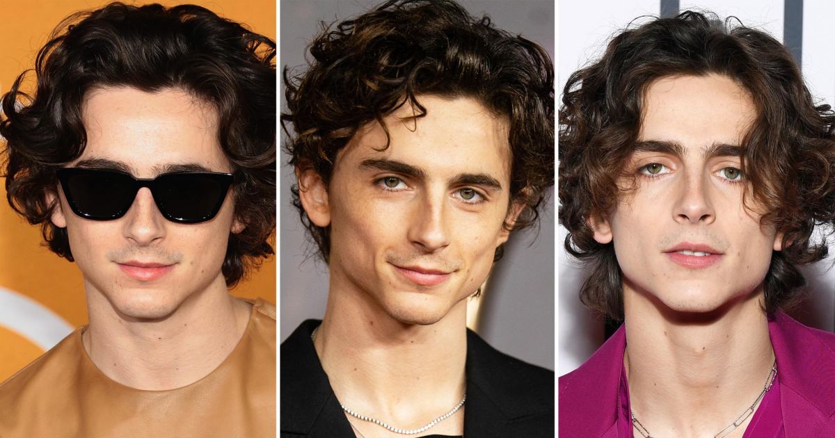 Timothee Chalamet’s Best Hair Moments of All Time