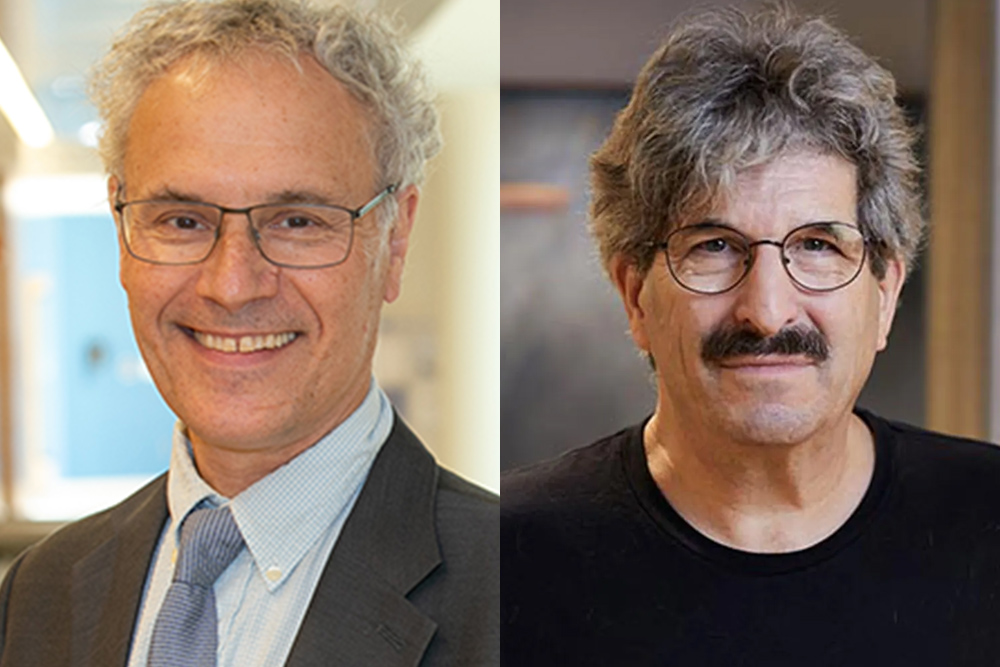 Victor Ambros ’75, PhD ’79 and Gary Ruvkun share Nobel Prize in Physiology or Medicine | MIT News