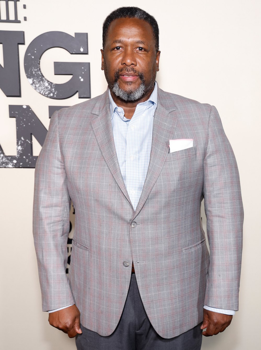 Wendell Pierce Says He 'Would Love' to Make a Cameo as Robert Zane on 'Suits L.A.' Spinoff