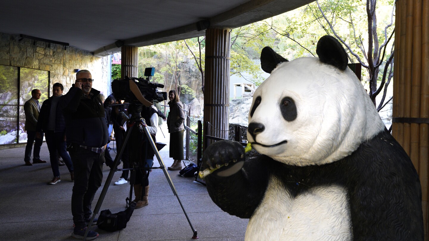 What to know about the National Zoo pandas