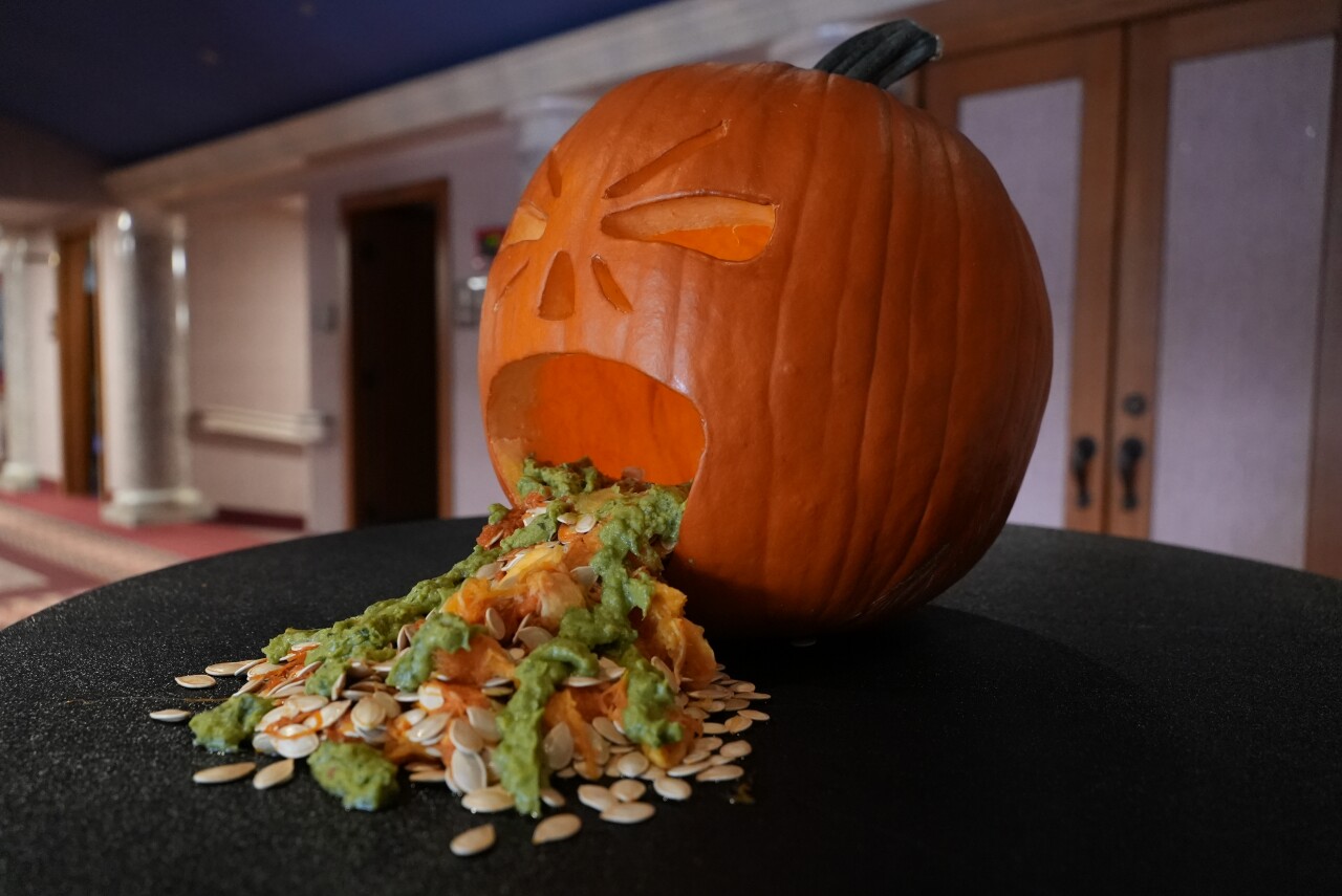 Pumpkin throwing up