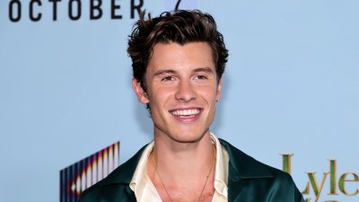 Shawn Mendes Most Candid Quotes About His Sexuality Through the Years