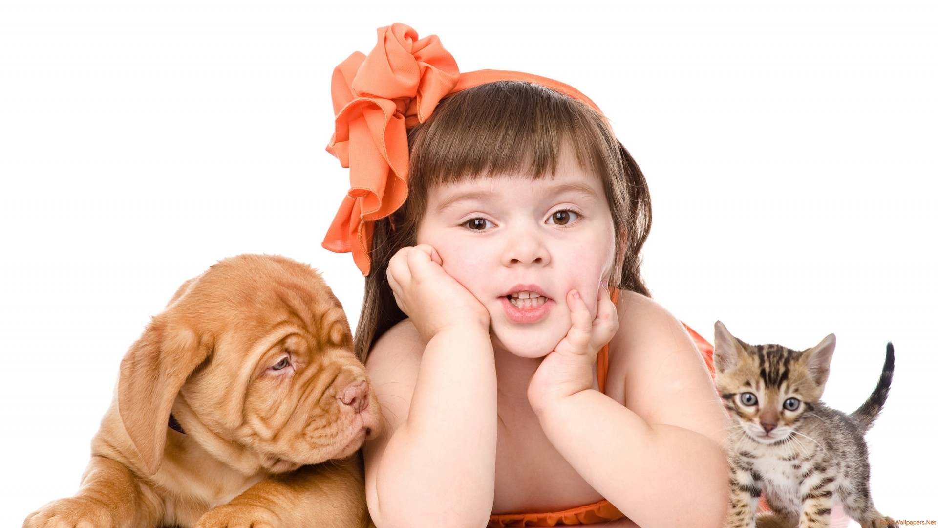 How Mold Growth Affects Kids and Pets: Protecting Your Home’s Most Vulnerable Residents