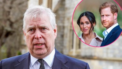 Prince Andrew Being Offered Frogmore Was the 'Final Blow' for Prince Harry and Meghan Markle (Book)