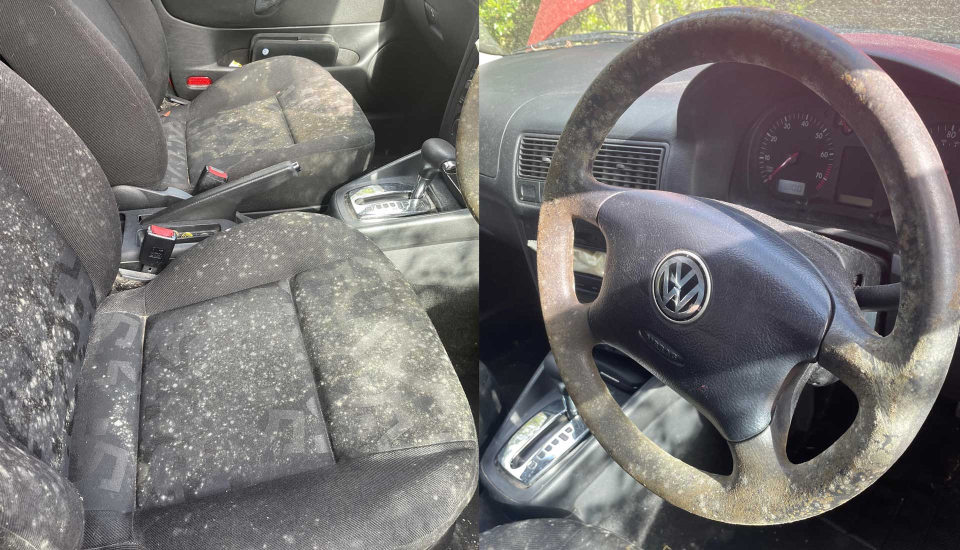 Mold in Your Car: How It Can Make You Sick and What to Do About It