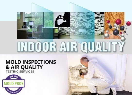 Maintaining Optimal Air Quality in Vacation Homes for Health and Comfort