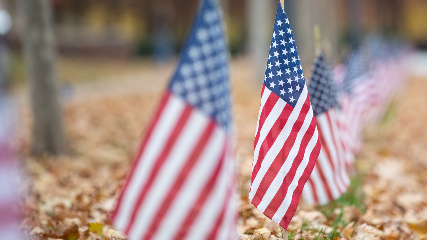 A Salute to Service: Veterans Day celebration in Overland Park