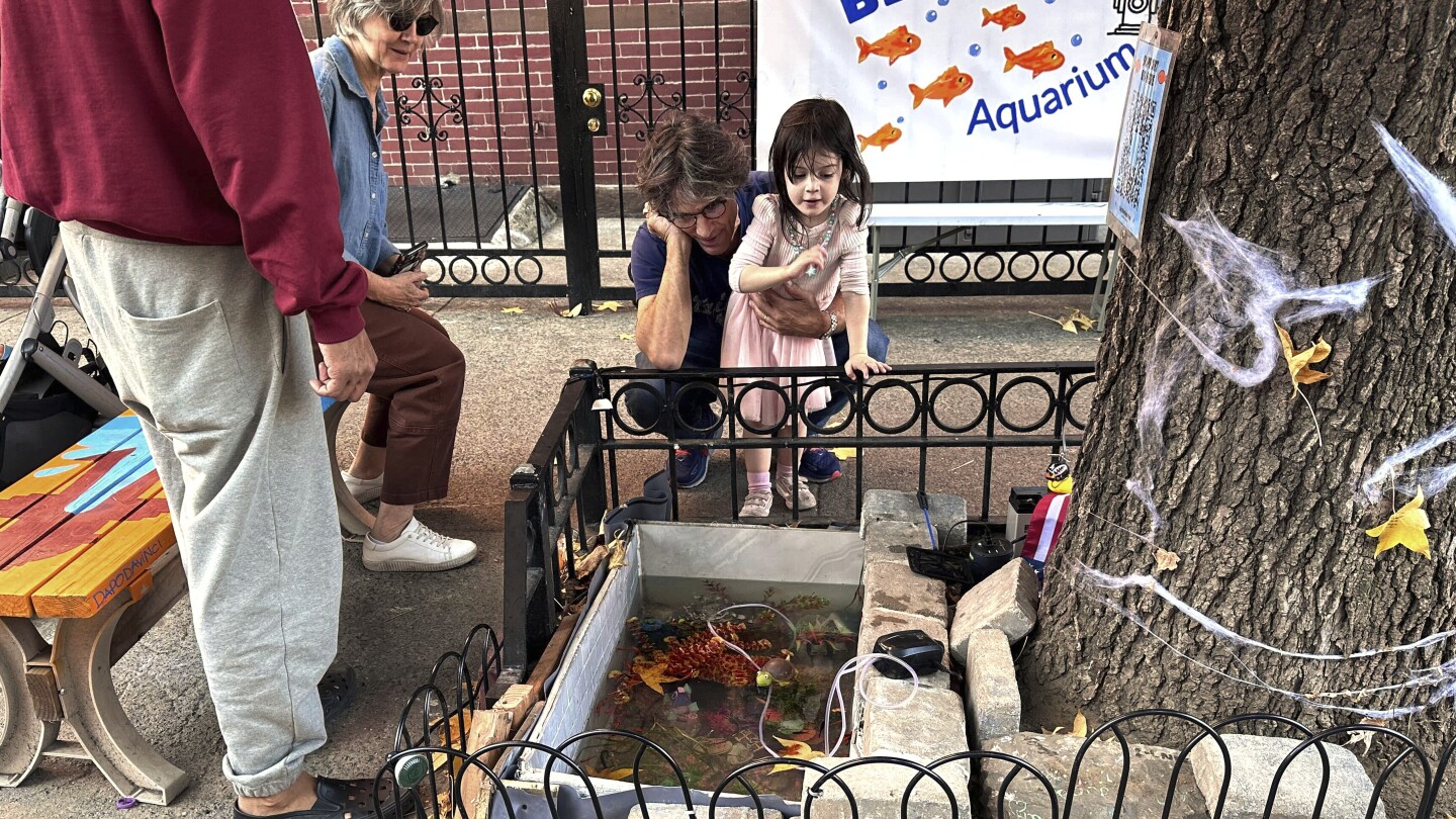 A makeshift goldfish pond beneath a leaky Brooklyn fire hydrant is reborn in a tree bed