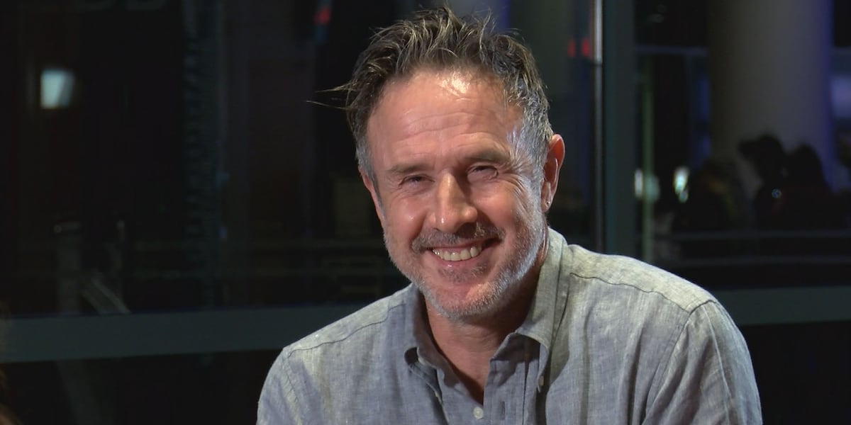 Actor David Arquette talks about the Scream franchise and his future in it