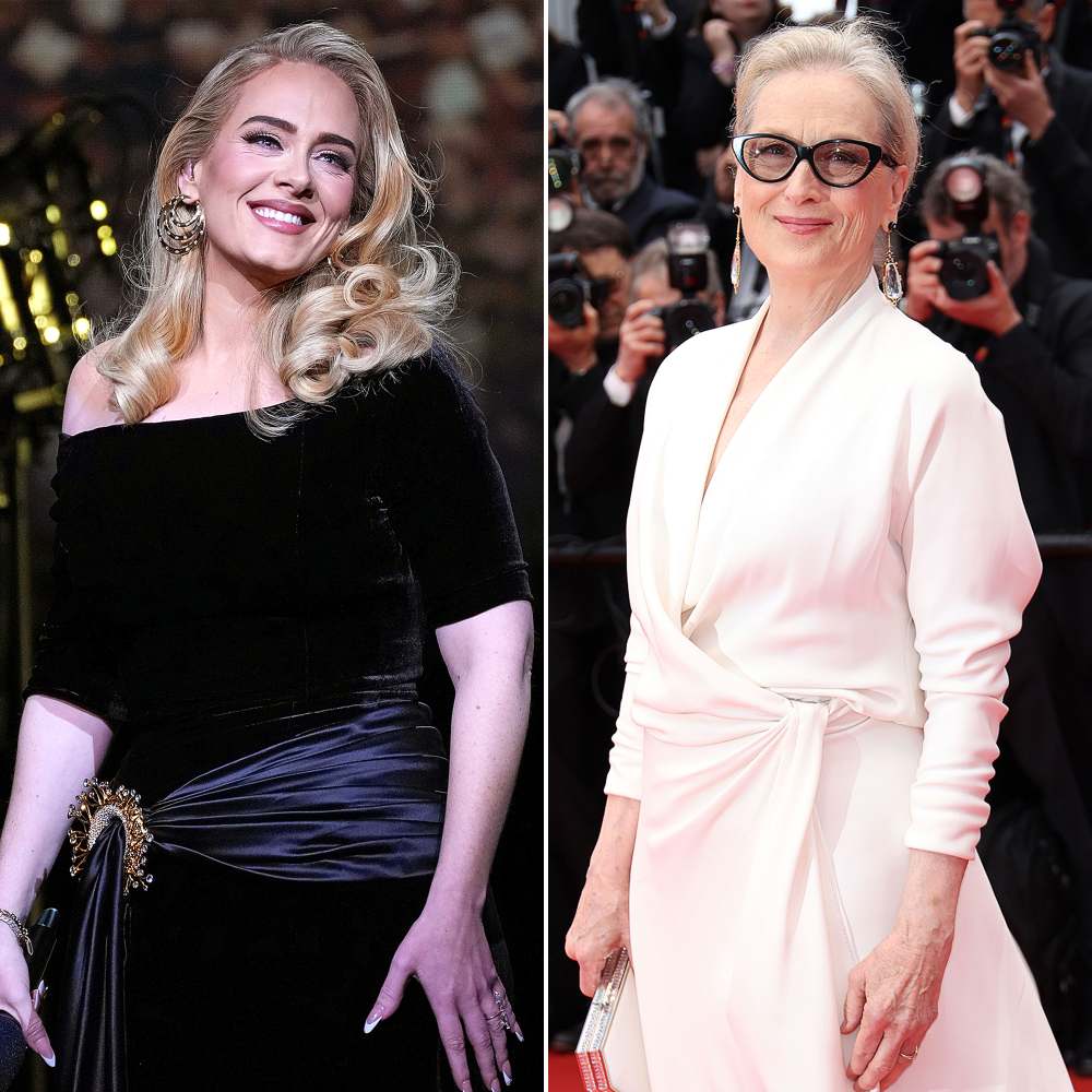 Adele Tells Meryl Streep She Loves Her at Las Vegas Show — While Wearing 'Death Becomes Her' Costume