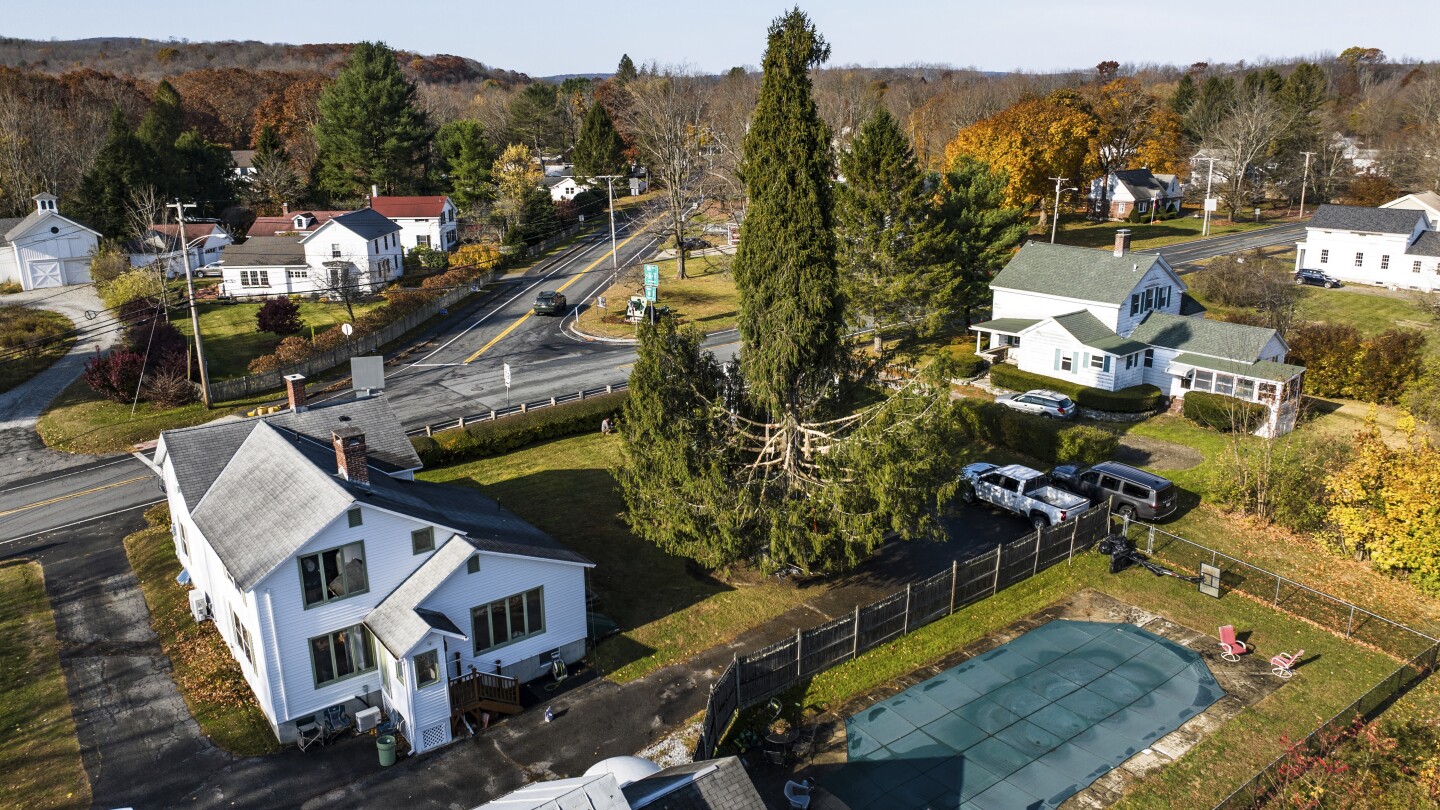 Crowds flock to tiny Massachusetts town to send off New York's Rockefeller Christmas tree