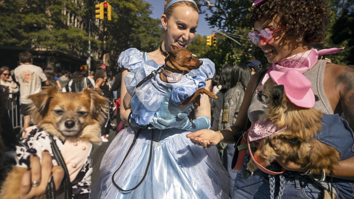 No trick! Halloween temperatures soar above normal in Northeast