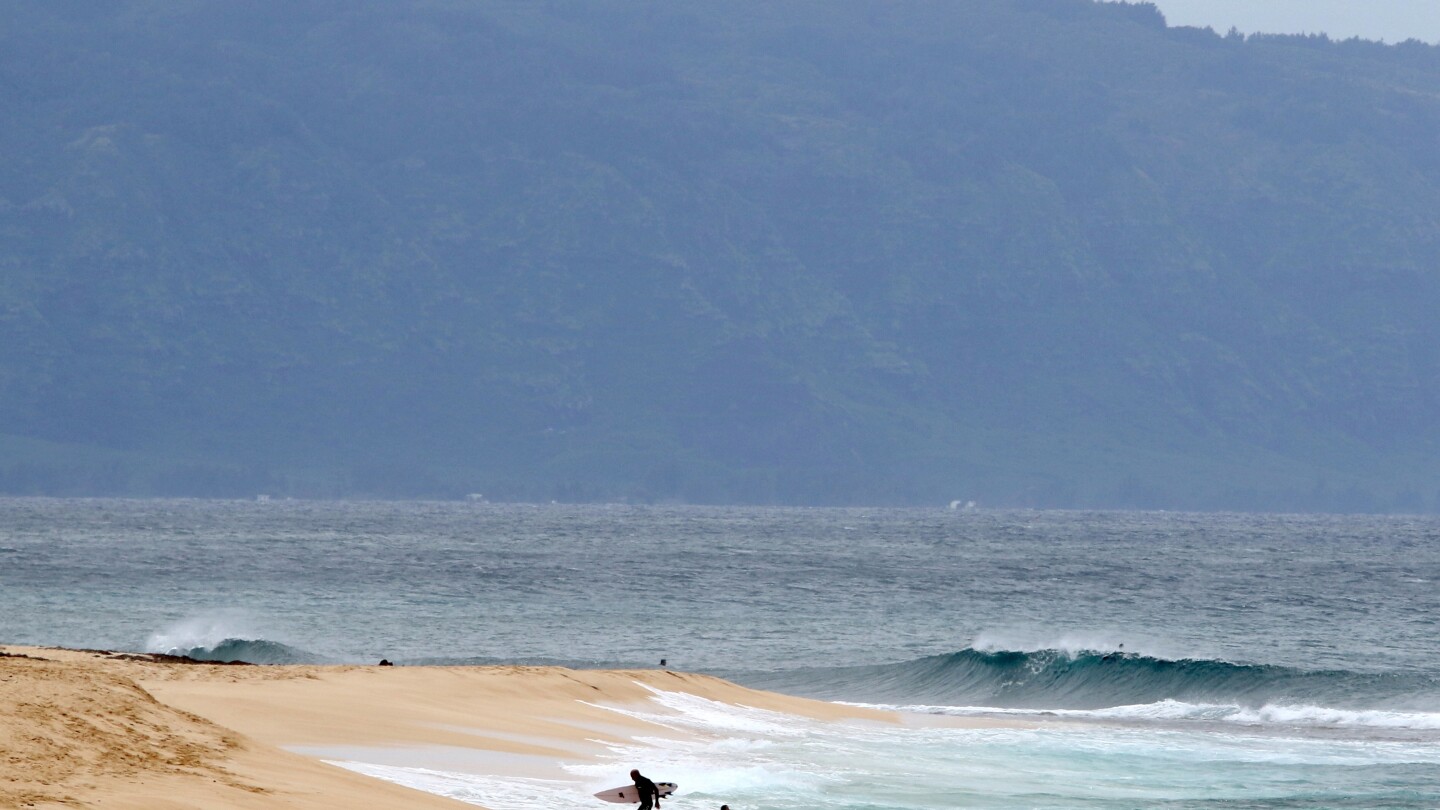 Shark bites 61-year-old Maui surfer, completely severing his leg below the knee