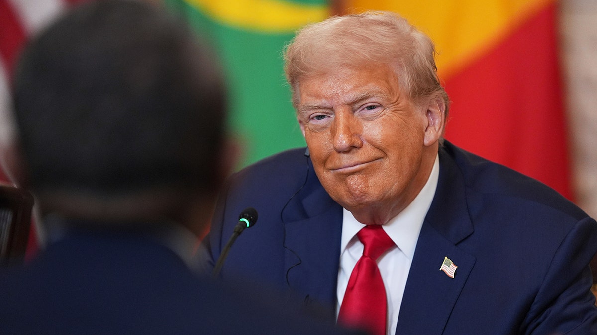Trump grins during a White House meeting with African leaders