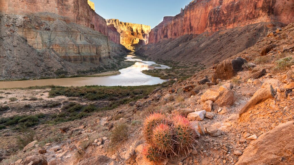 A view of the Grand Canyon from Nankoweap Creek.