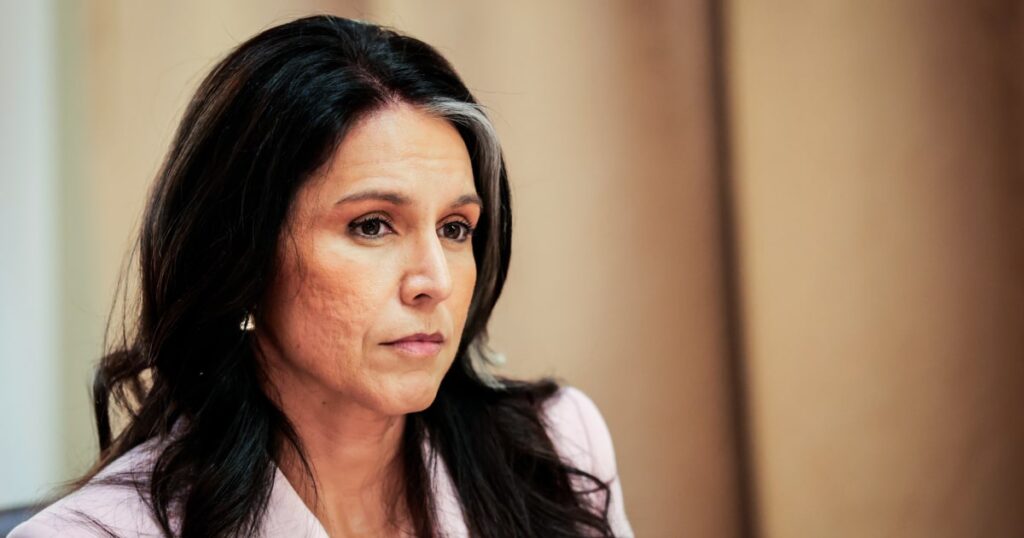 Senate Democrat slams DNI Tulsi Gabbard for her Turning Point USA appearance