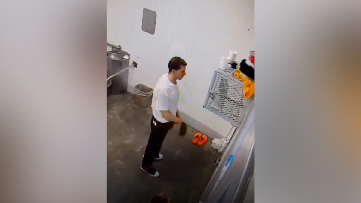 Alleged Bryan Kohberger jail cell footage