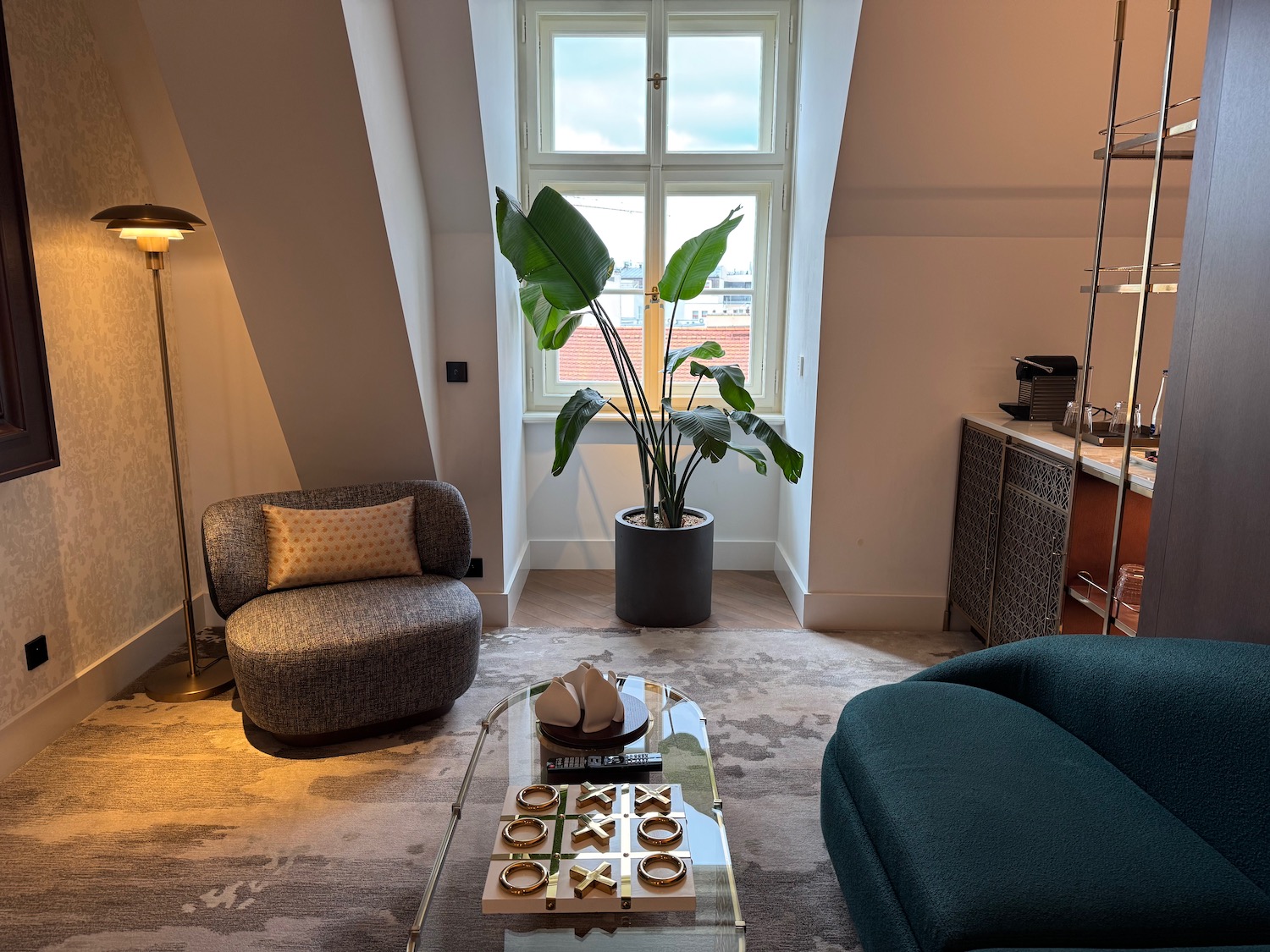 a room with a couch and a plant