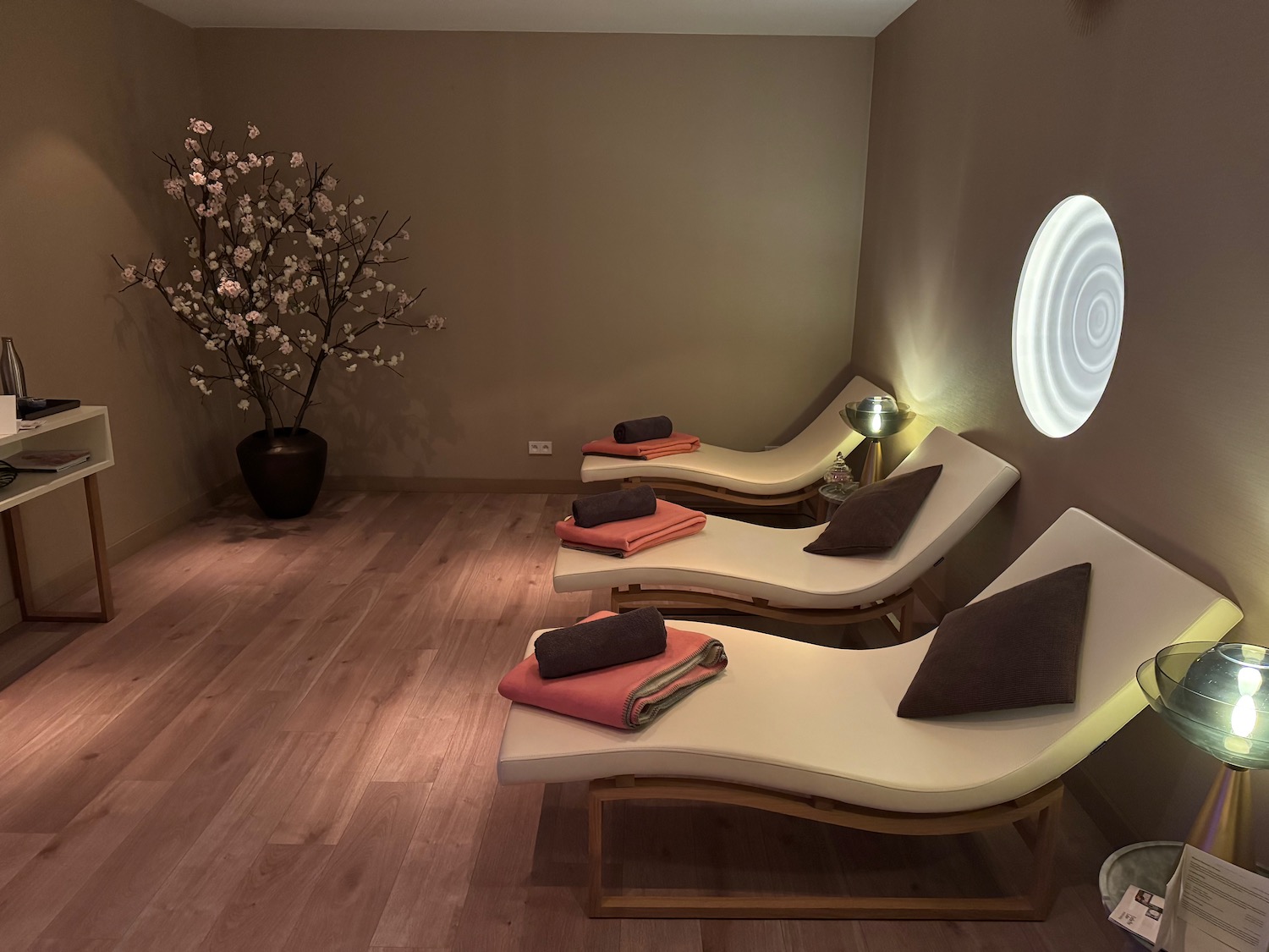 a room with lounge chairs and a plant