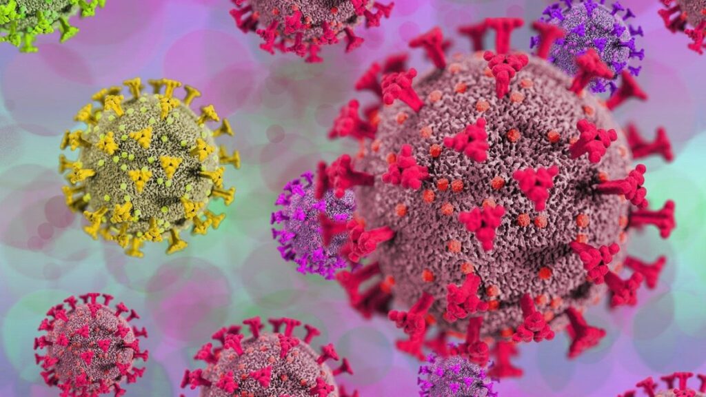 ‘No one is getting…’ warns US President Trump to Apple CEO Tim Cook after 50 per cent tariff plans on India