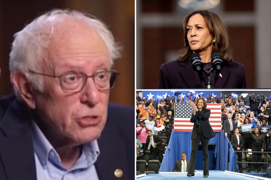 Bernie Sanders rips 2024 Harris campaign for being 'heavily influenced by wealthy people'