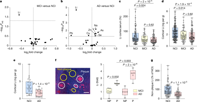 Lithium deficiency and the onset of Alzheimer’s disease