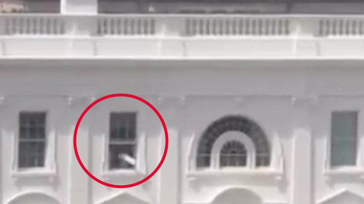 A video Trump said was fake appeared to show items being tossed out of a window at the White House