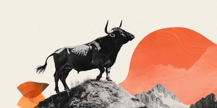 Dogecoin, Shiba Inu, and Pepe are poised for a rally