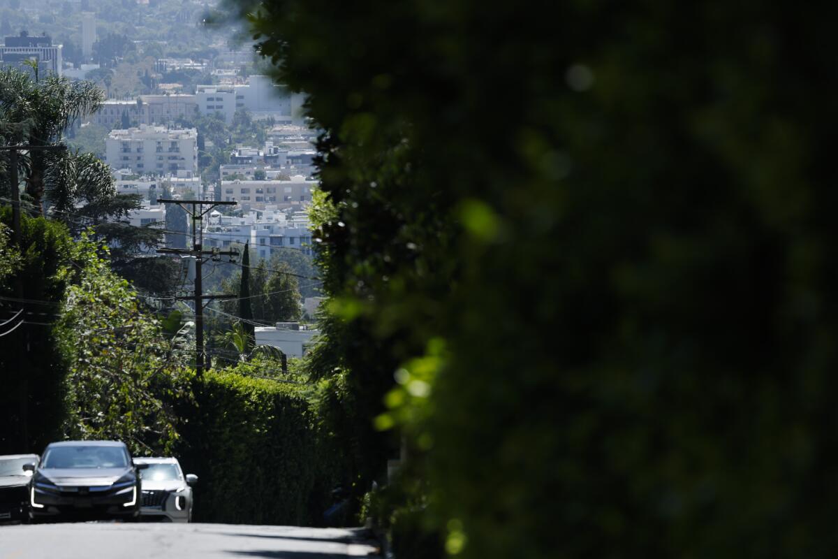 Trees line a street with parked cars overlooking a neighborhood