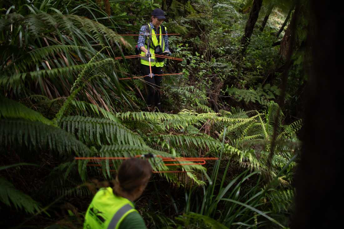 Hilary Sheaff (at top) and Keturah Bouchard search for a kiwi.
