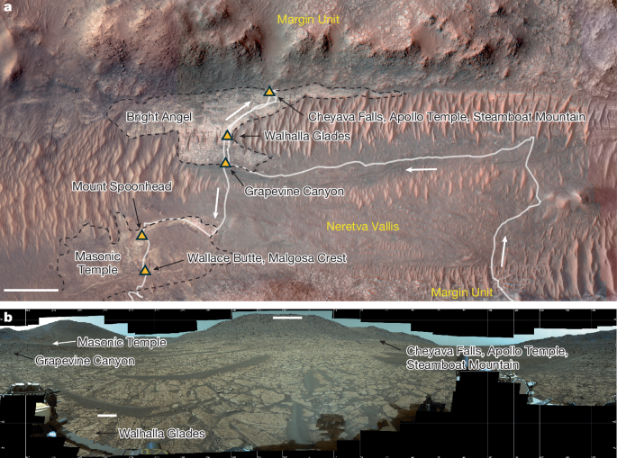 Redox-driven mineral and organic associations in Jezero Crater, Mars