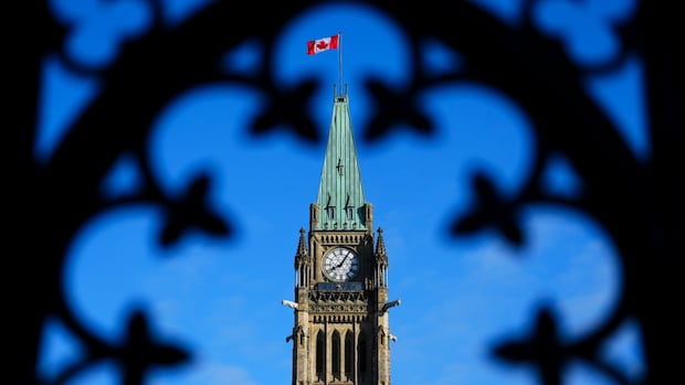 Thousands sign petition to make fibbing parliamentarians pay political price