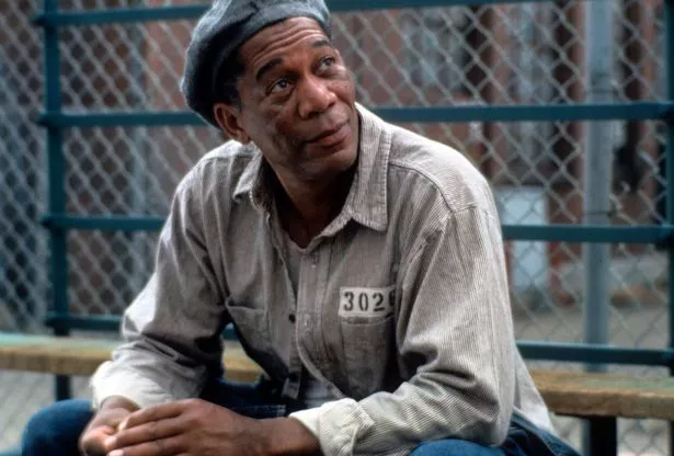 In 'The Shawshank Redemption' (1994), Morgan Freeman plays a character who tunnels out of prison.