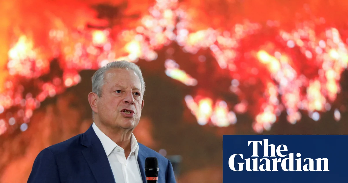 Al Gore wonders if ‘bullying’ Trump prompted Bill Gates to backtrack on climate | Al Gore