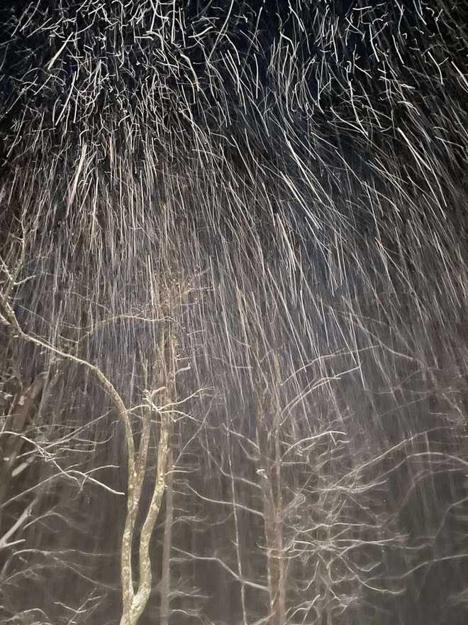 snow falling in farmington