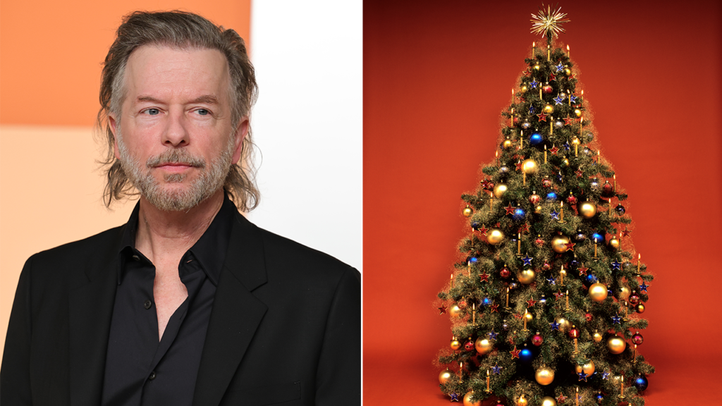 David Spade blasts mall for 'consciously avoiding' Christmas during tree-lighting