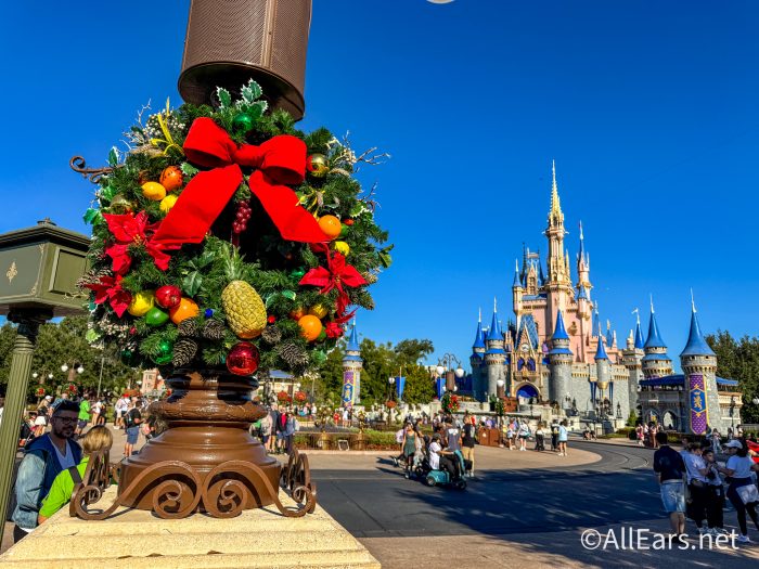 Check Out The Christmas Day Crowds in Magic Kingdom!
