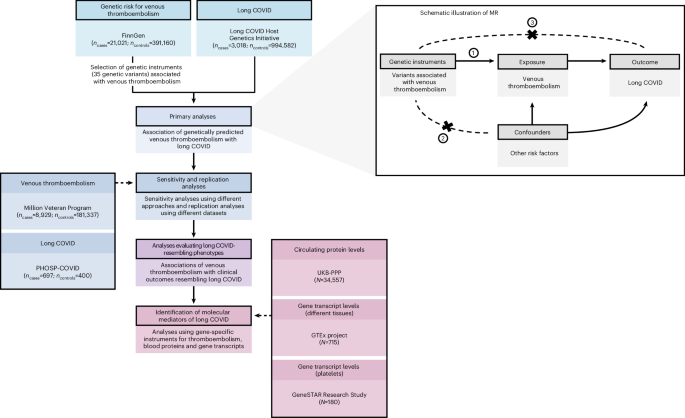 Human genetics implicate thromboembolism in the pathogenesis of long COVID in individuals of European ancestry