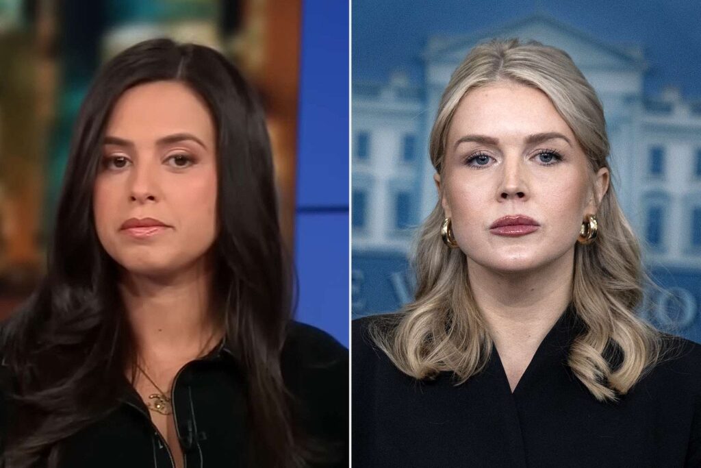 Mom of Karoline Leavitt's Nephew Breaks Silence on ICE Arrest