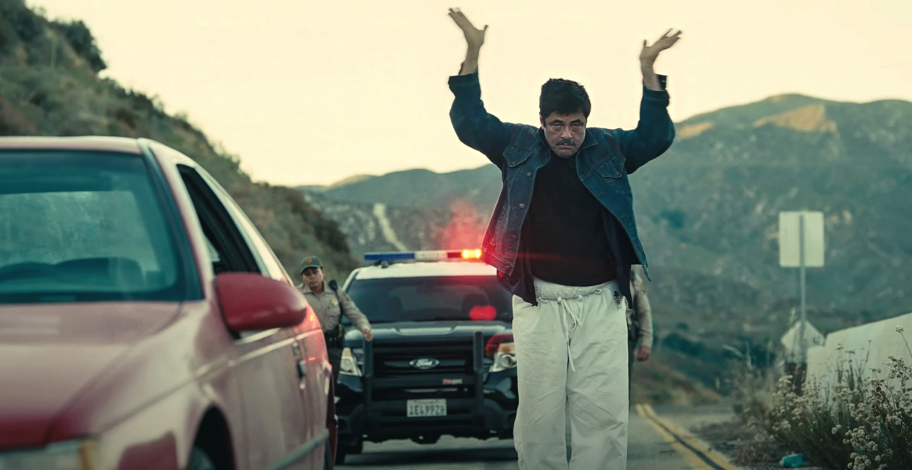 Benicio del Toro, 'One Battle After Another'