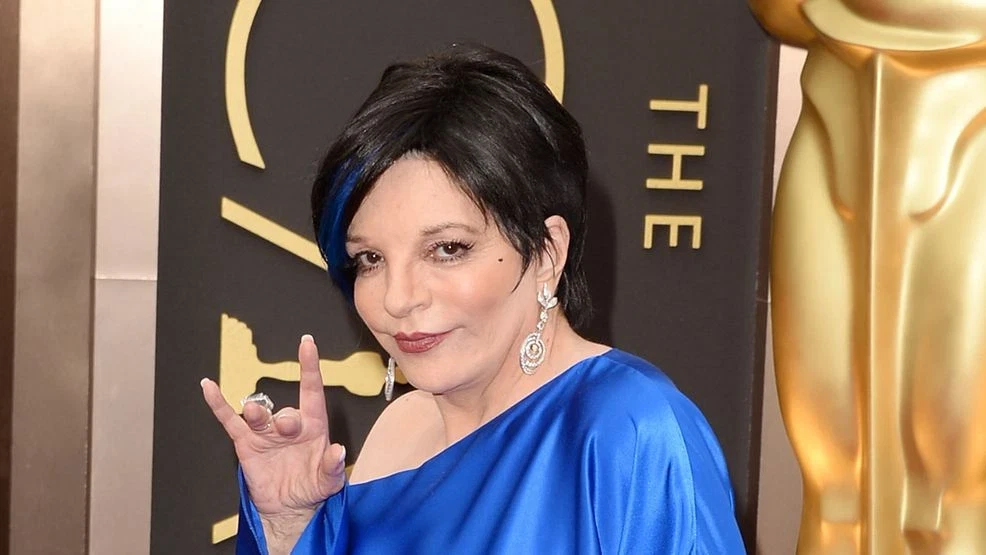 HOLLYWOOD, CA - MARCH 02:  Actress Liza Minnelli attends the Oscars at Hollywood & Highland Center on March 2, 2014 in Hollywood, California.  (Photo by Jason Merritt/Getty Images)