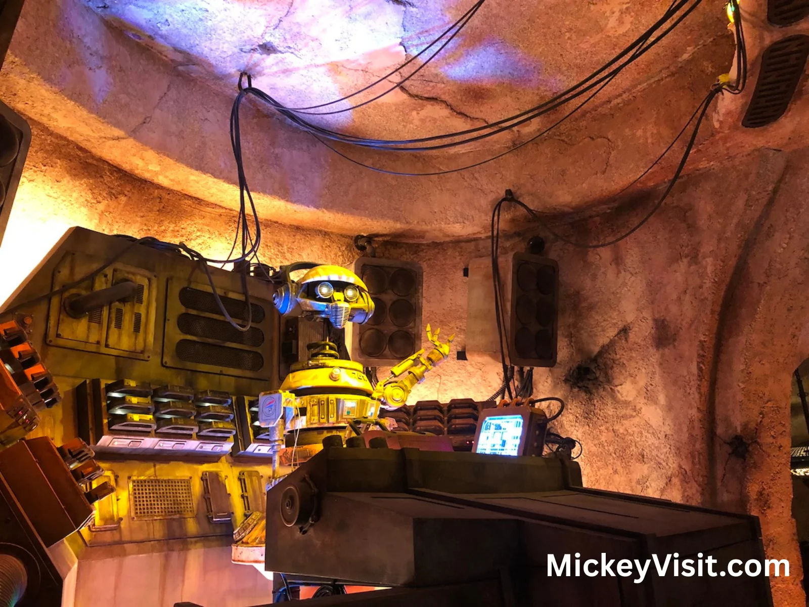 Droid at Ogas Cantina restaurant