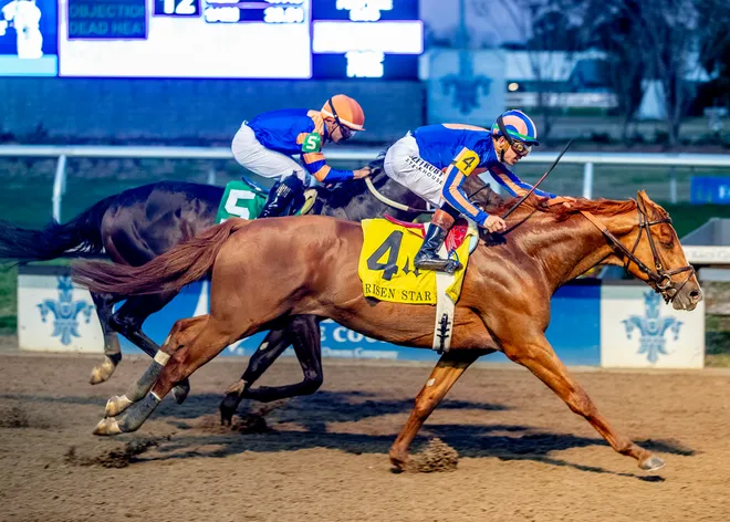 Paladin and jockey Tyler Gaffalione rallied to win the Grade 2 Risen Star on Feb. 14 at Fair Grounds in New Orleans.