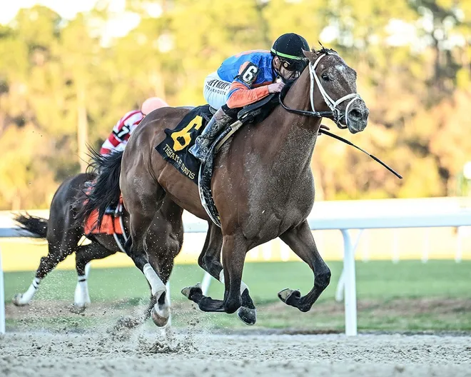 Renegade and jockey Irad Ortiz Jr. win the Sam F. Davis on Feb. 7 at Tampa Bay Downs.