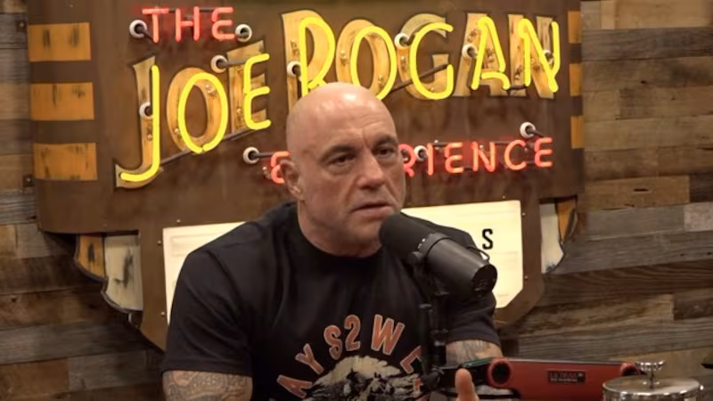 Rogan questioned whether organized, paid protests should even be legal.