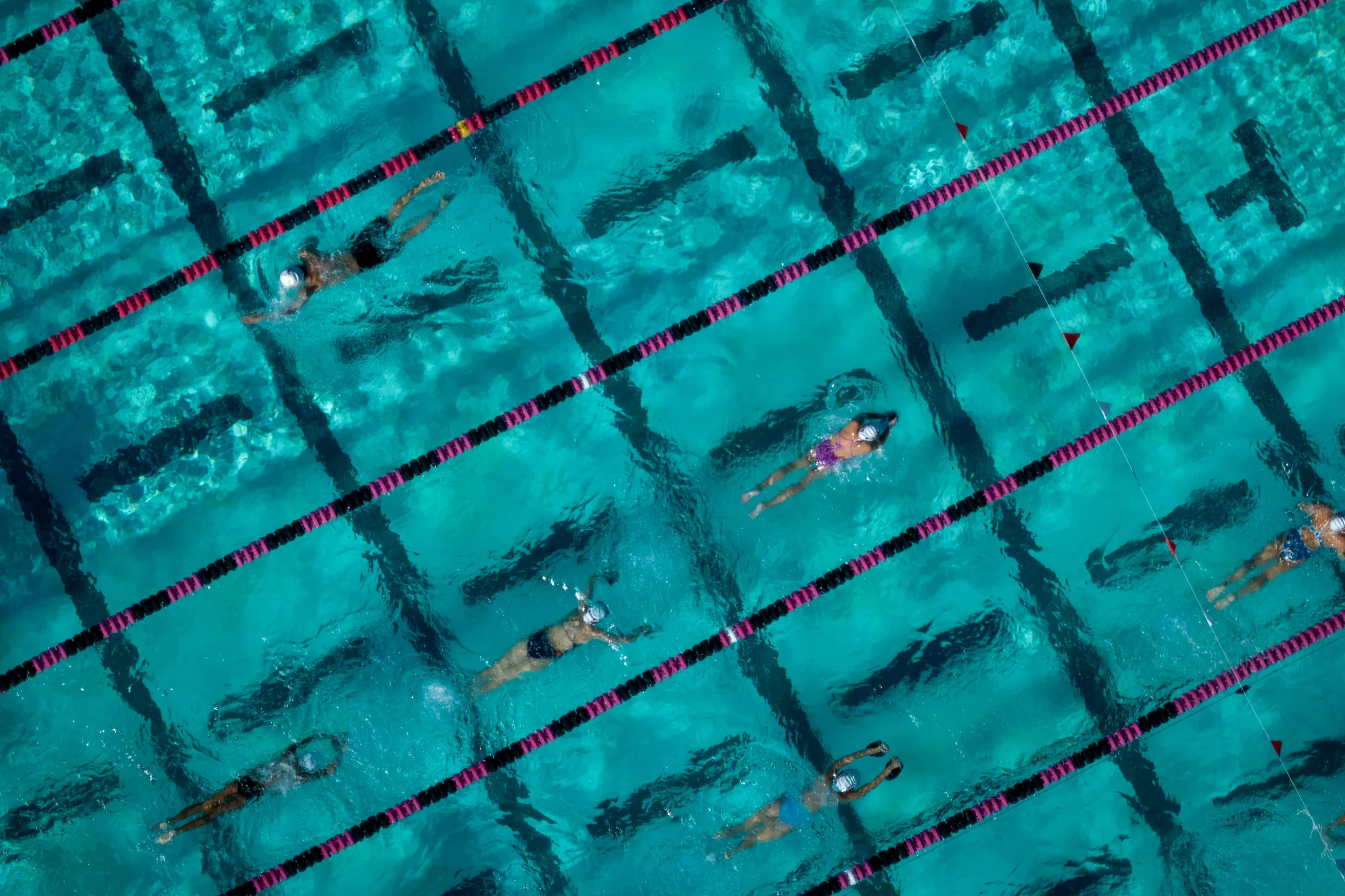 Image of people swimming at the Rose Bowl Aquatic Center